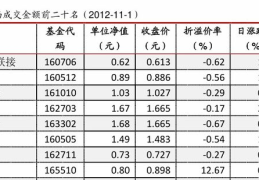 660005基金净值,投资策略与风险分析