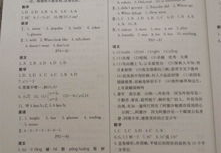 七年级暑假作业本答案,七年级暑假作业本答案概览