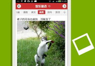 首页精选娱乐,盘点热门话题，畅享精彩瞬间