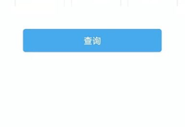 驾驶员查询,便捷出行，安全驾驶指南