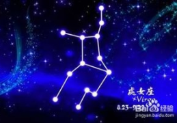 处女座怎么了,揭秘星座中的完美主义者之谜